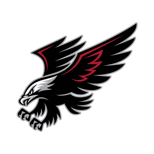 Hawks Logo